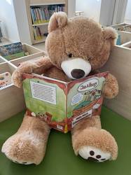Ein Teddybär hält ein Buch.