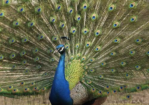 Tierpark Gotha © Lutz Ebhardt