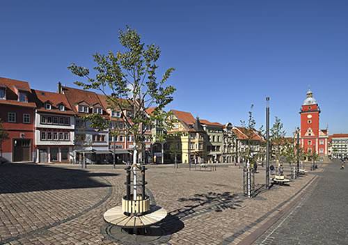 Ein Baum für meine Stadt © Lutz Ebhardt