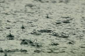 wasser