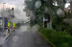 Feuerwehrleute entfernen einen umgestürzten Baum, der auf einer Straße liegt.